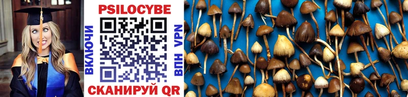 hydra как войти  Красково  Псилоцибиновые грибы Cubensis 